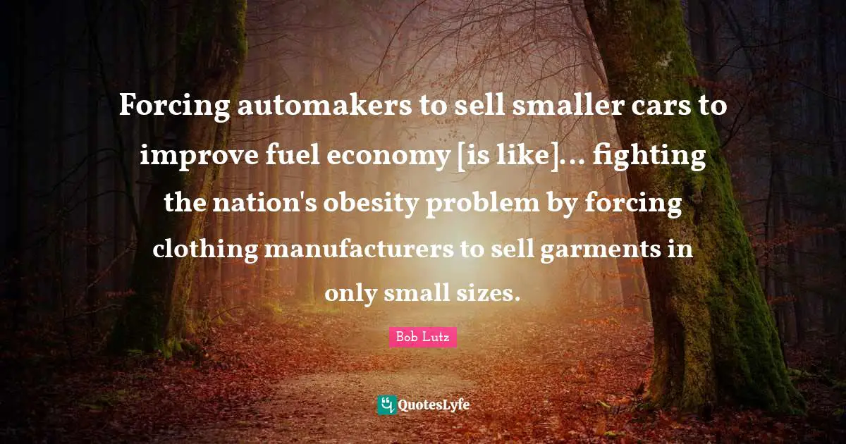 Forcing automakers to sell smaller cars to improve fuel economy [is like]... fighting the nation's obesity problem by forcing clothing manufacturers to sell garments in only small sizes.