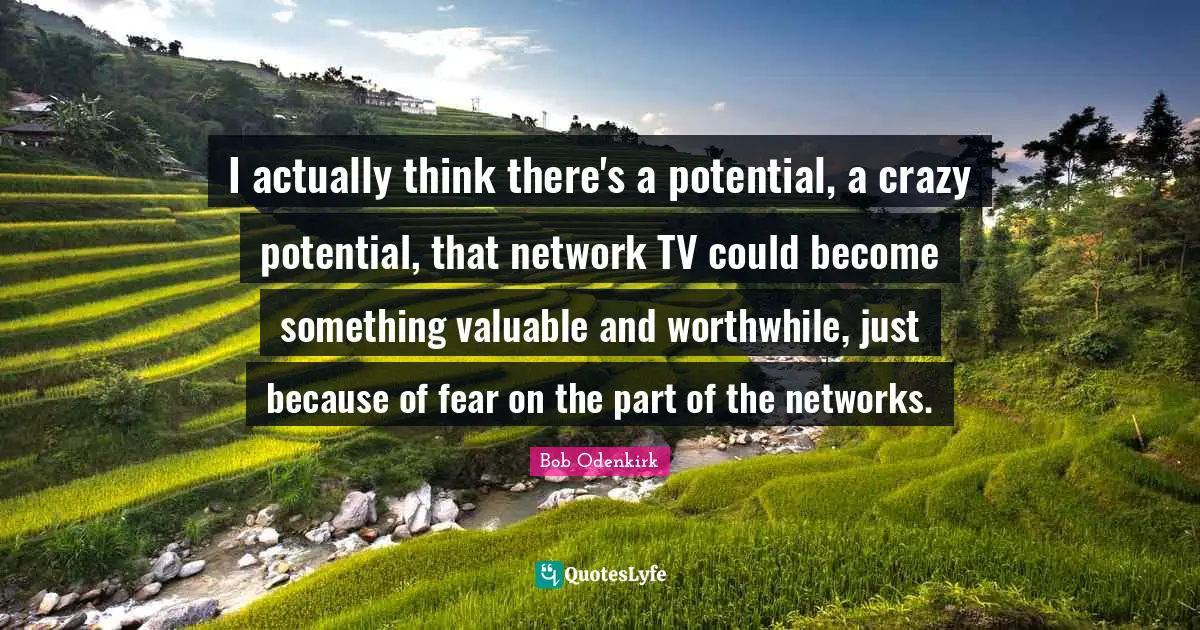 I actually think there's a potential, a crazy potential, that network TV could become something valuable and worthwhile, just because of fear on the part of the networks.
