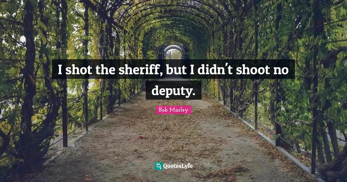 I shot the sheriff, but I didn't shoot no deputy.