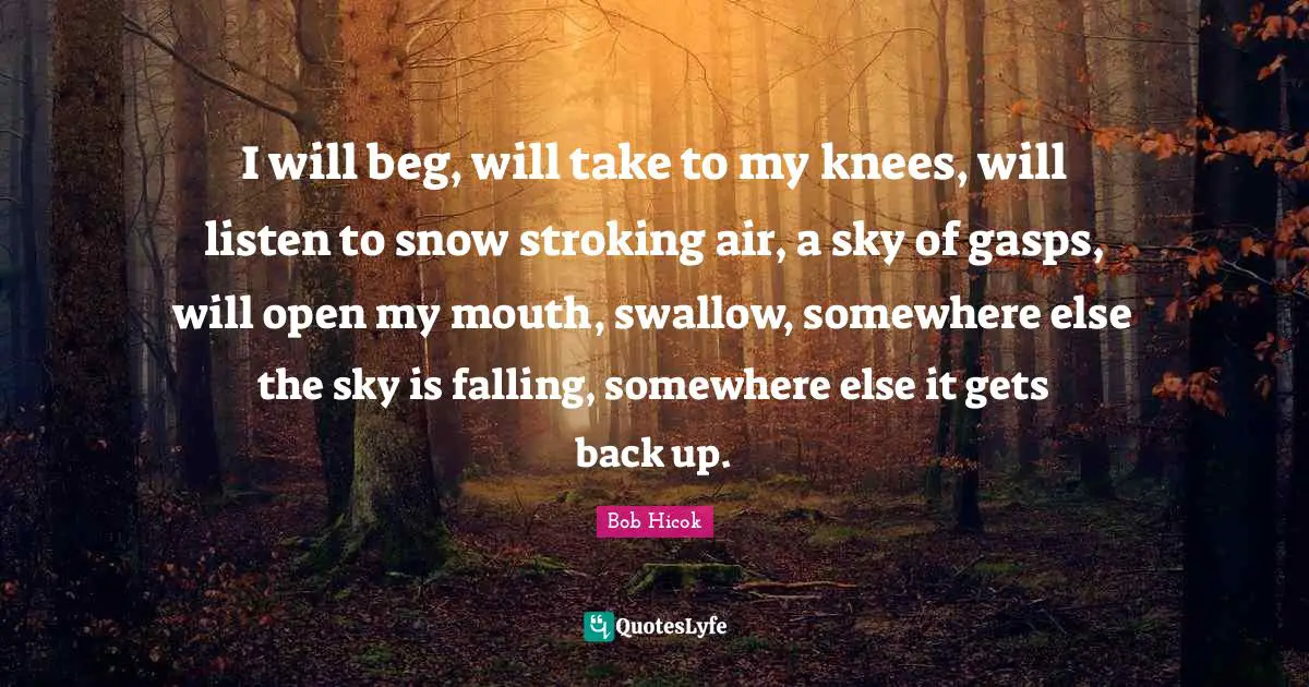 I will beg, will take to my knees, will listen to snow stroking air, a sky of gasps, will open my mouth, swallow, somewhere else the sky is falling, somewhere else it gets back up.