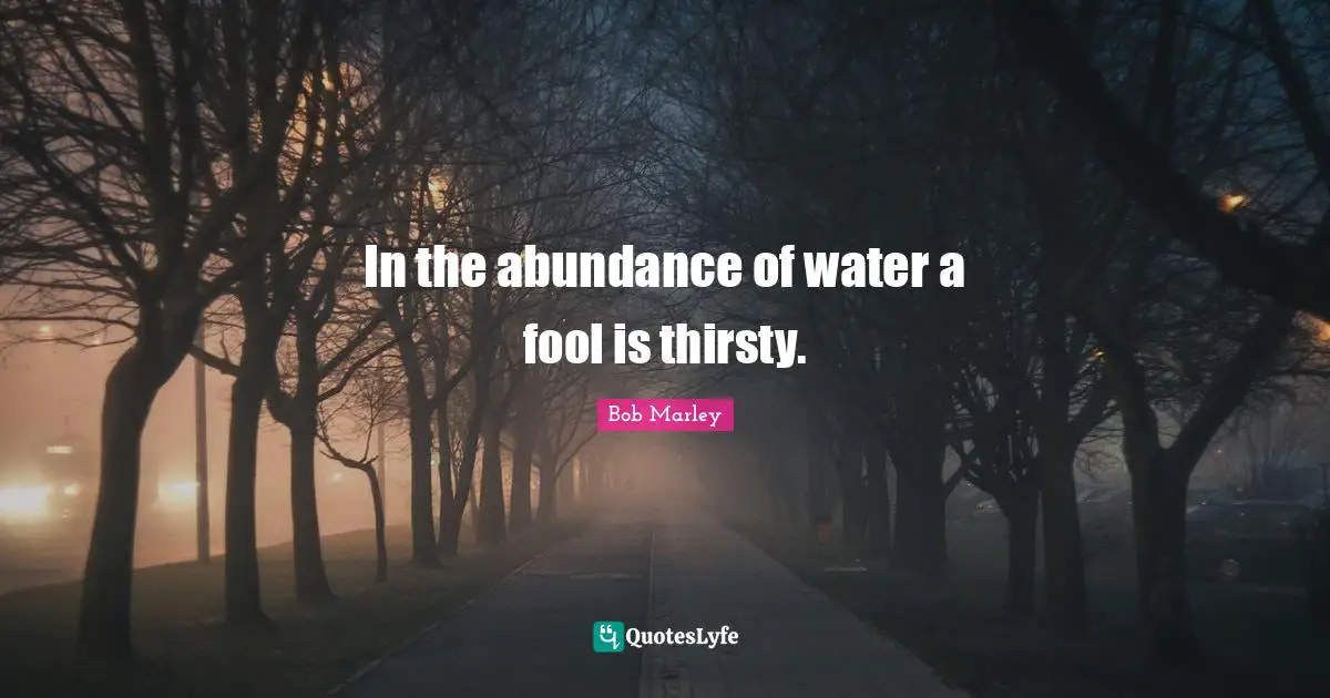In the abundance of water a fool is thirsty.