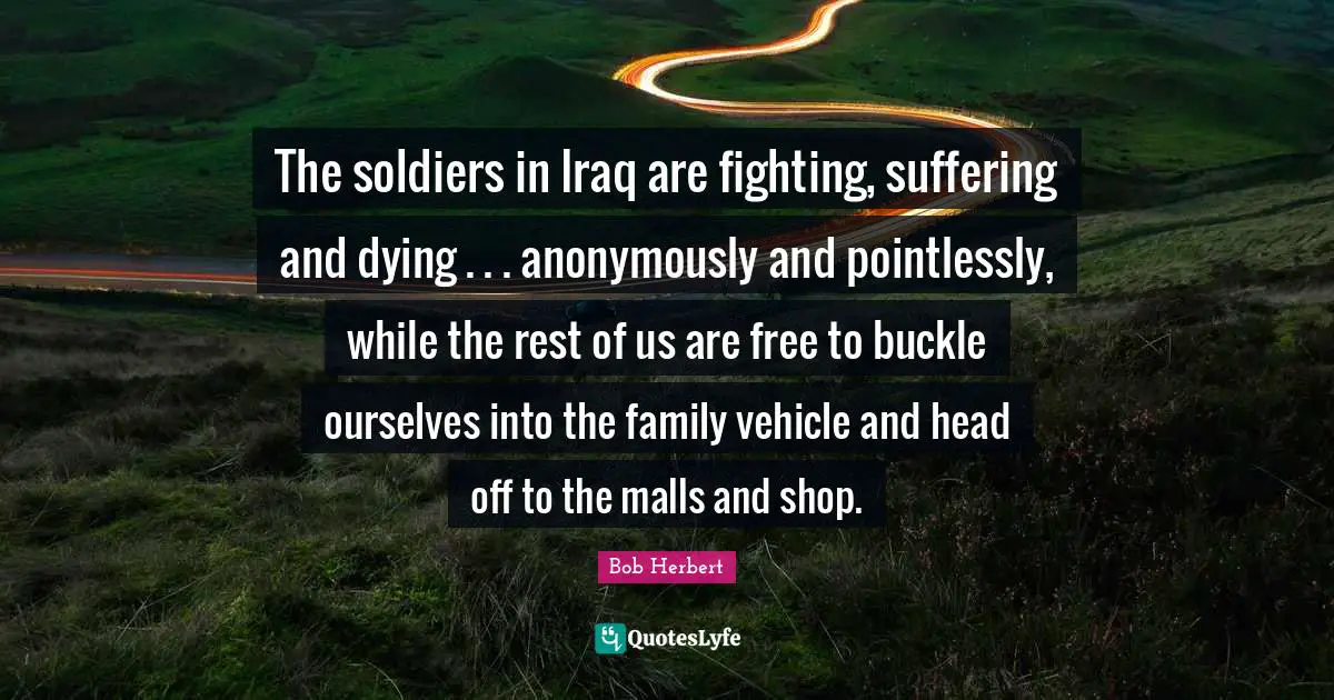 The soldiers in Iraq are fighting, suffering and dying . . . anonymously and pointlessly, while the rest of us are free to buckle ourselves into the family vehicle and head off to the malls and shop.