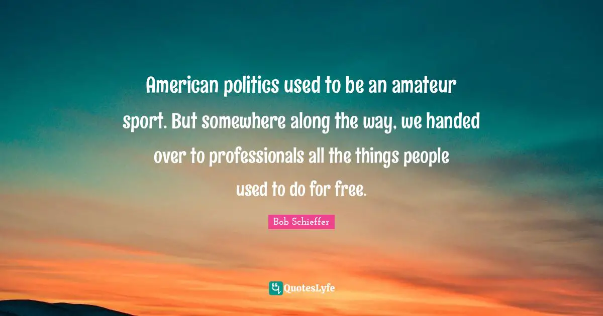 American politics used to be an amateur sport. But somewhere along the way, we handed over to professionals all the things people used to do for free.