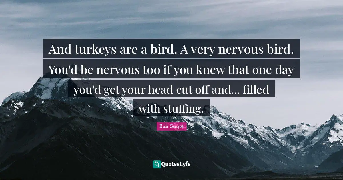 And turkeys are a bird. A very nervous bird. You'd be nervous too if you knew that one day you'd get your head cut off and... filled with stuffing.
