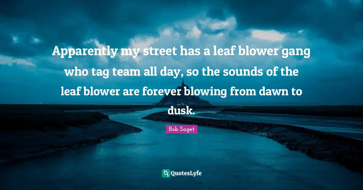 Apparently my street has a leaf blower gang who tag team all day, so the sounds of the leaf blower are forever blowing from dawn to dusk.