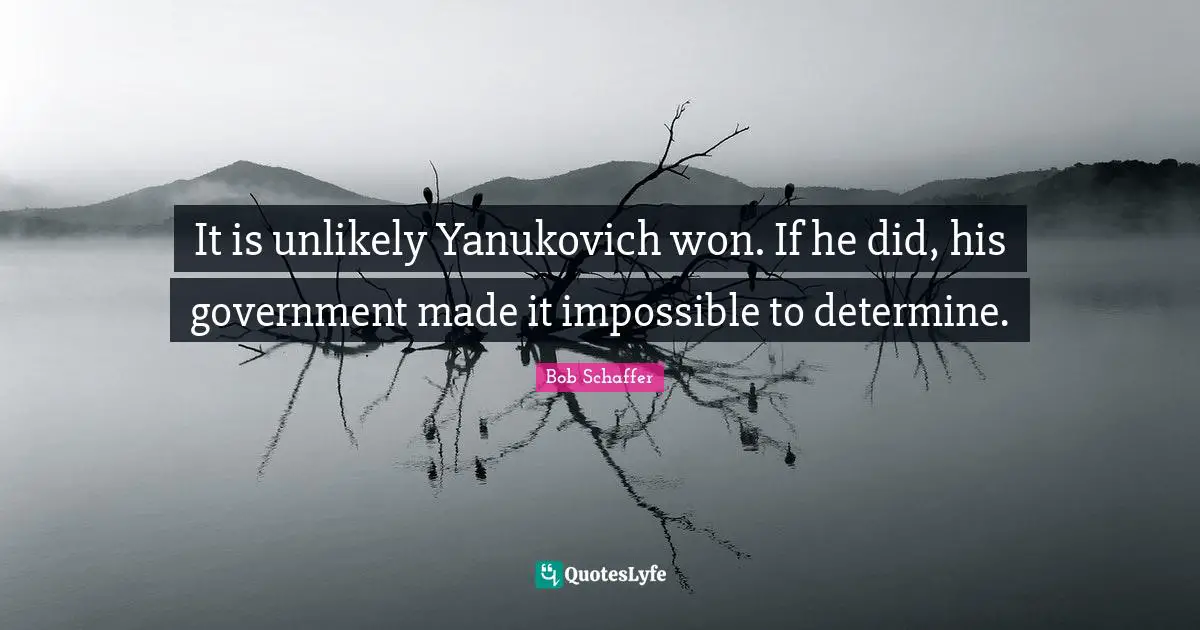 It is unlikely Yanukovich won. If he did, his government made it impossible to determine.