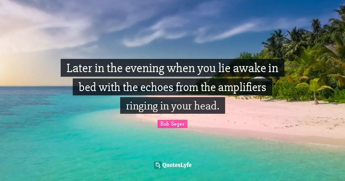 Awake Quotes: "Later in the evening when you lie awake in bed with the echoes from the amplifiers ringing in your head."
