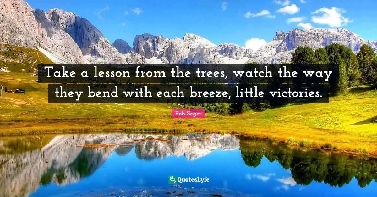 Take a lesson from the trees, watch the way they bend with each breeze, little victories.