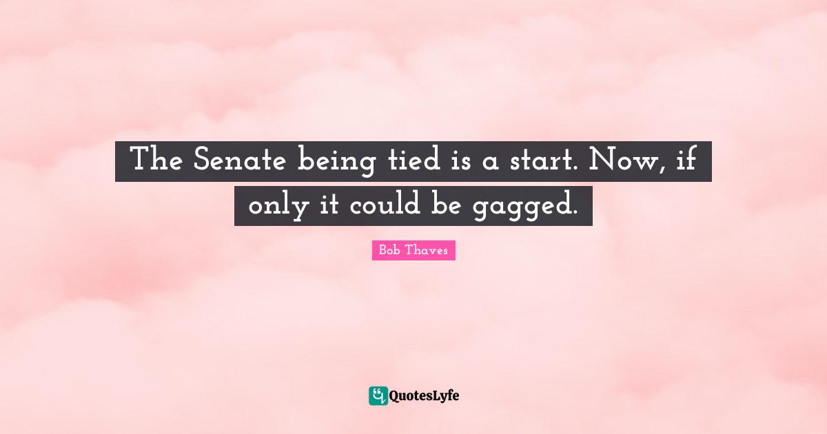 The Senate being tied is a start. Now, if only it could be gagged.