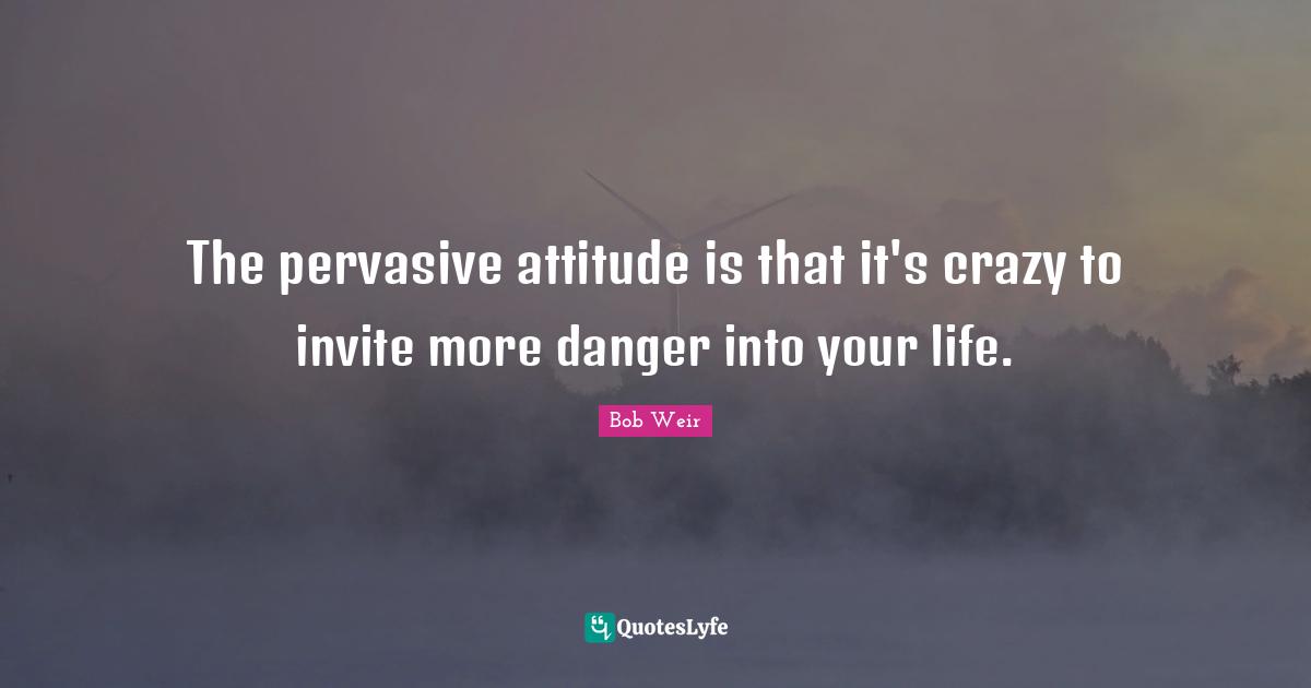 The pervasive attitude is that it's crazy to invite more danger into your life.