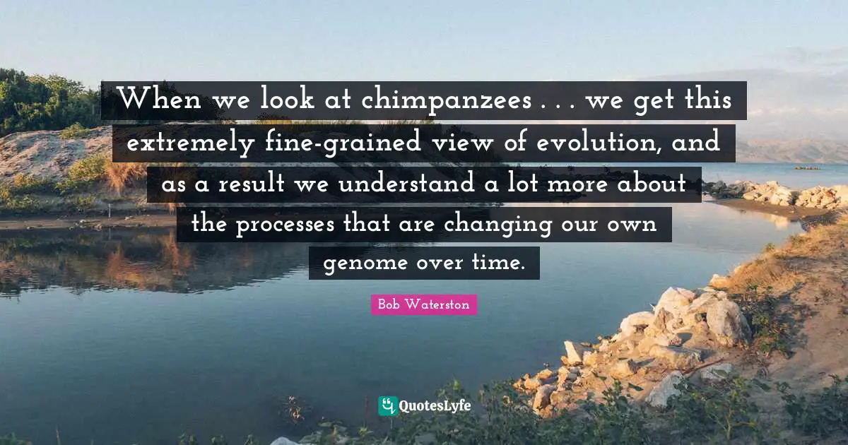 When we look at chimpanzees . . . we get this extremely fine-grained view of evolution, and as a result we understand a lot more about the processes that are changing our own genome over time.