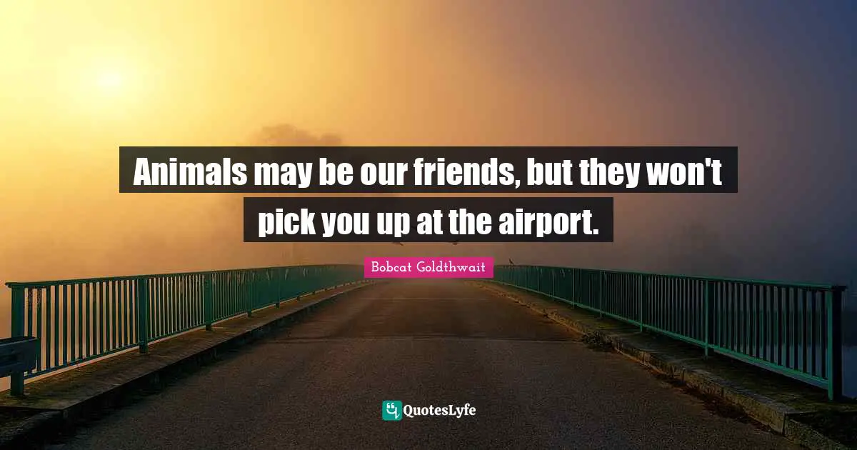 Animals may be our friends, but they won't pick you up at the airport.