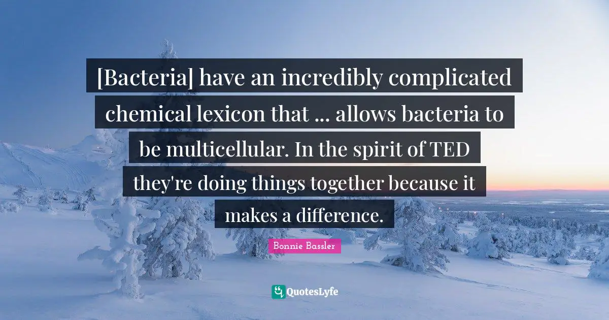 [Bacteria] have an incredibly complicated chemical lexicon that ... allows bacteria to be multicellular. In the spirit of TED they're doing things together because it makes a difference.
