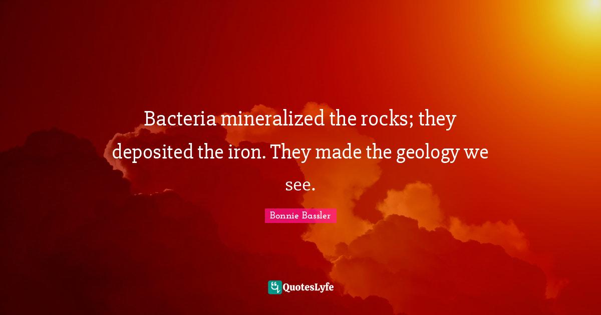 Bacteria mineralized the rocks; they deposited the iron. They made the geology we see.