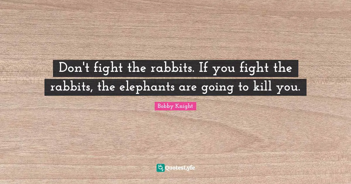 Elephants Quotes: "Don't fight the rabbits. If you fight the rabbits, the elephants are going to kill you."