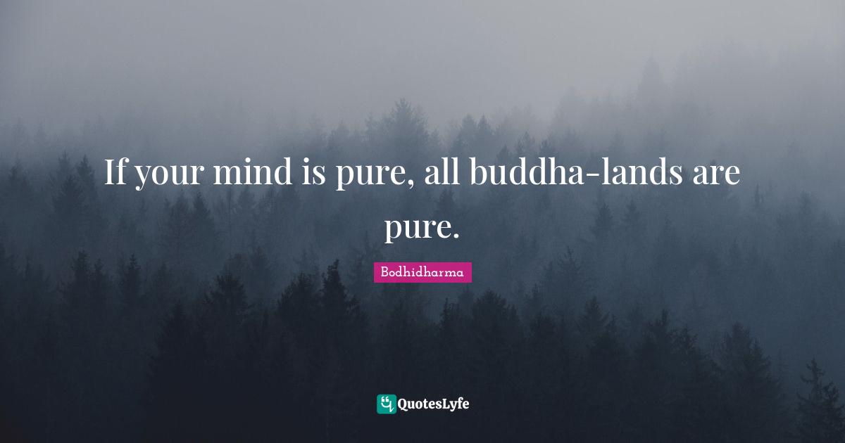 If your mind is pure, all buddha-lands are pure.