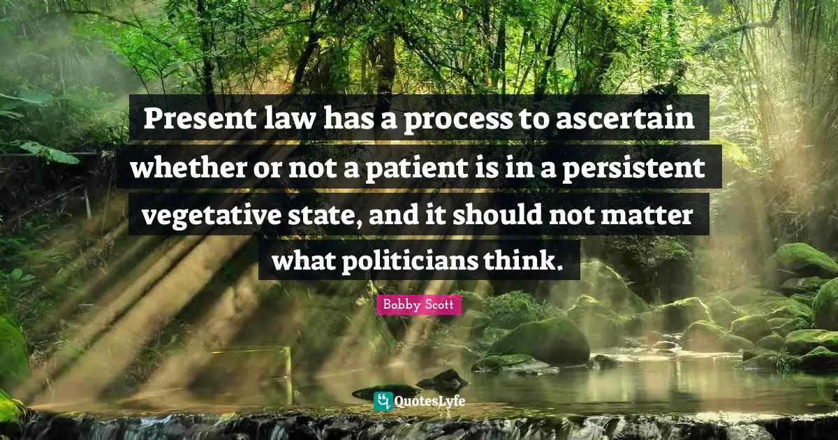 Present law has a process to ascertain whether or not a patient is in a persistent vegetative state, and it should not matter what politicians think.