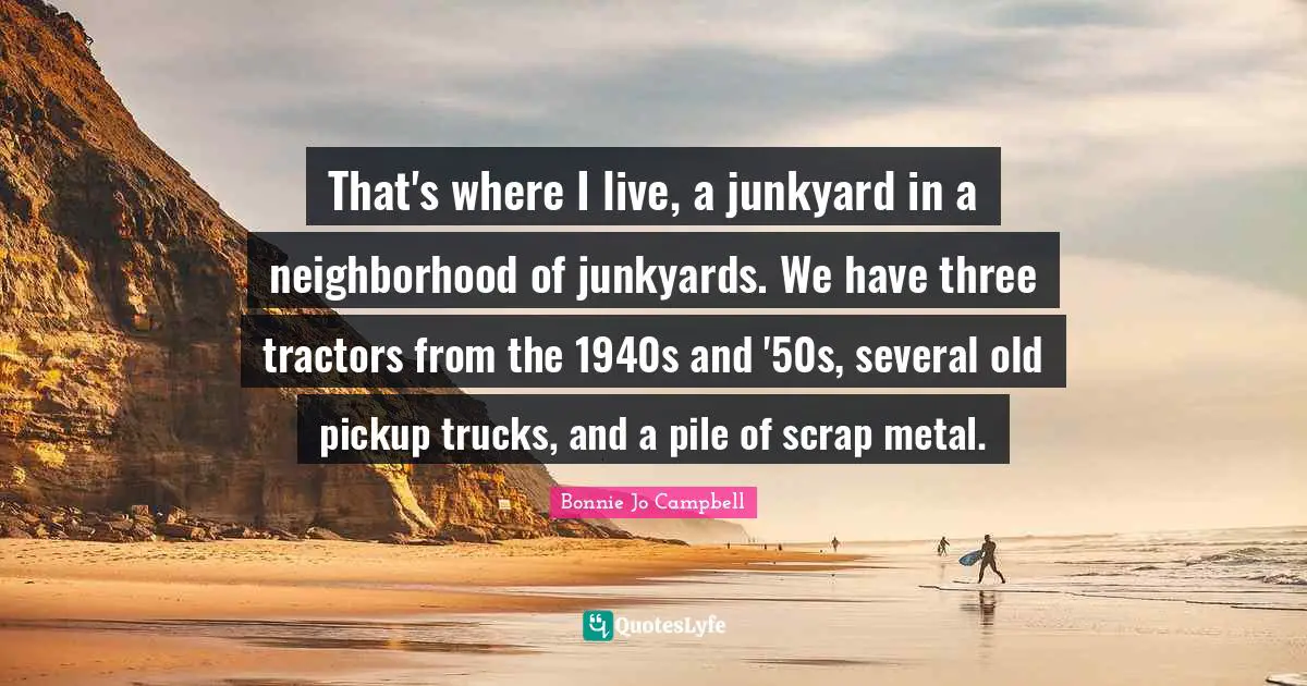 That's where I live, a junkyard in a neighborhood of junkyards. We have three tractors from the 1940s and '50s, several old pickup trucks, and a pile of scrap metal.