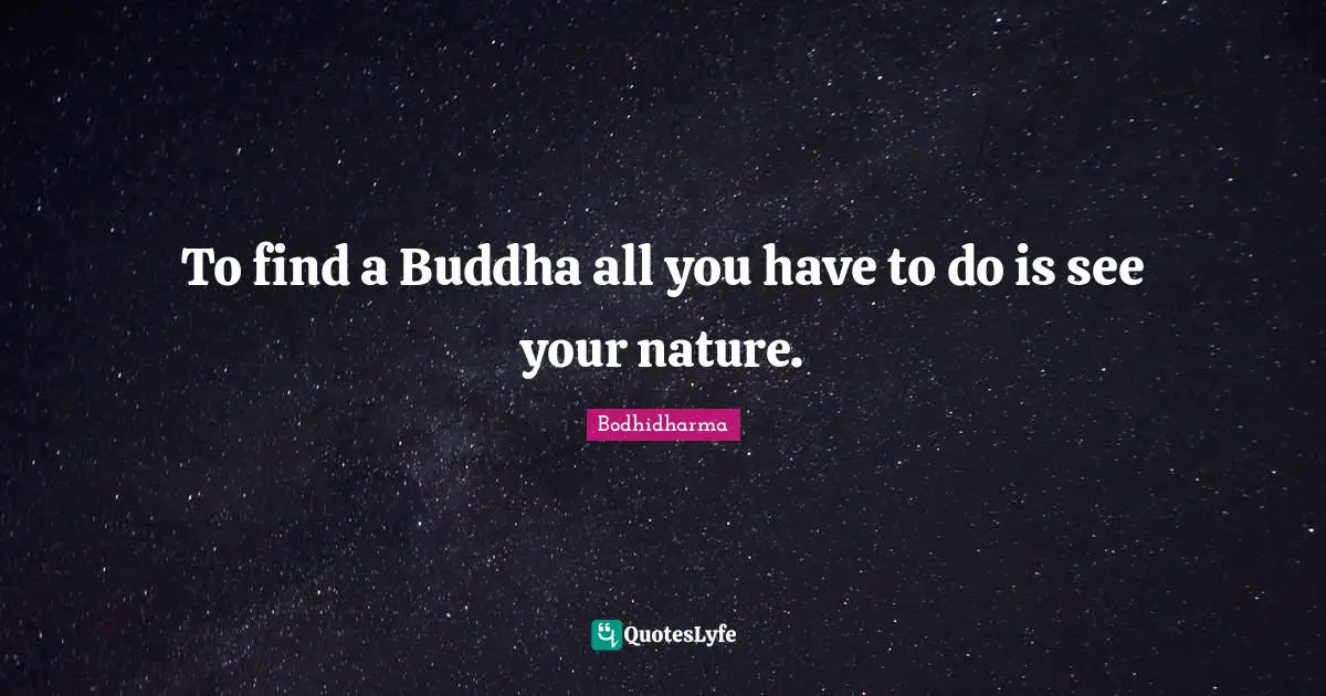 Bodhidharma Quotes: "To find a Buddha all you have to do is see your nature."