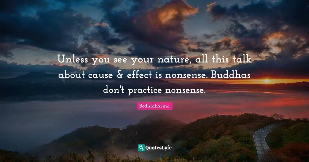 Unless you see your nature, all this talk about cause & effect is nonsense. Buddhas don't practice nonsense.