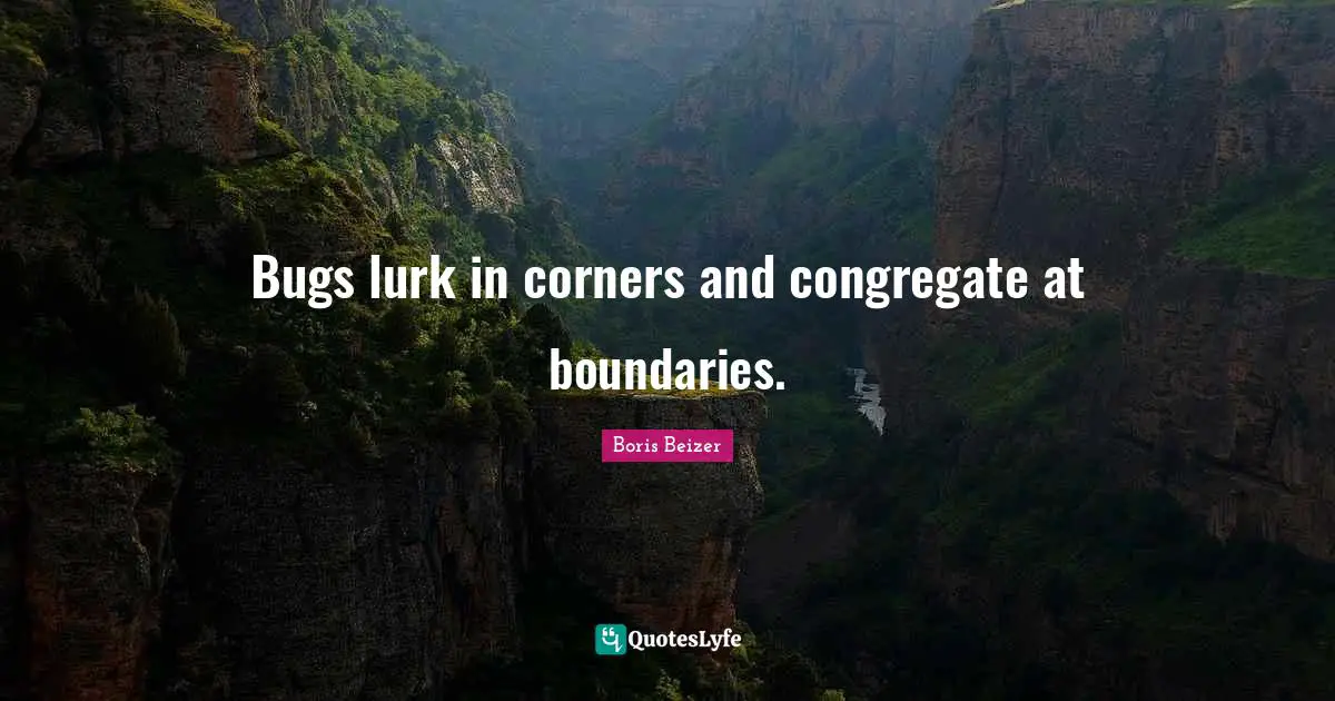 Bugs lurk in corners and congregate at boundaries.