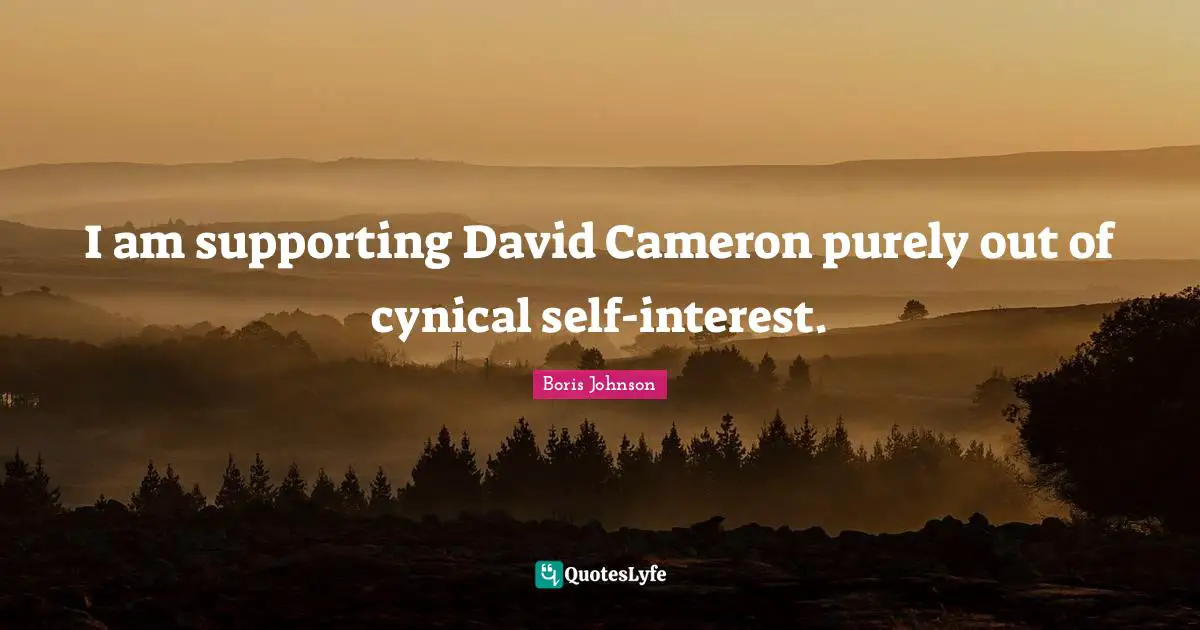 I am supporting David Cameron purely out of cynical self-interest.