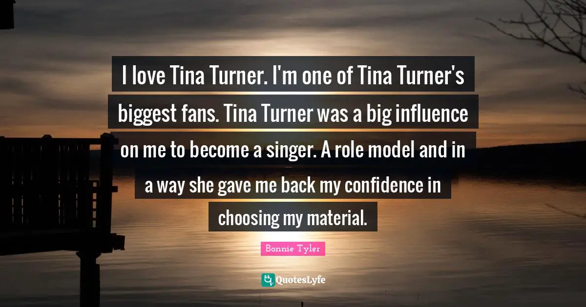I love Tina Turner. I'm one of Tina Turner's biggest fans. Tina Turner was a big influence on me to become a singer. A role model and in a way she gave me back my confidence in choosing my material.