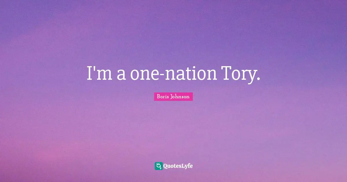 I'm a one-nation Tory.