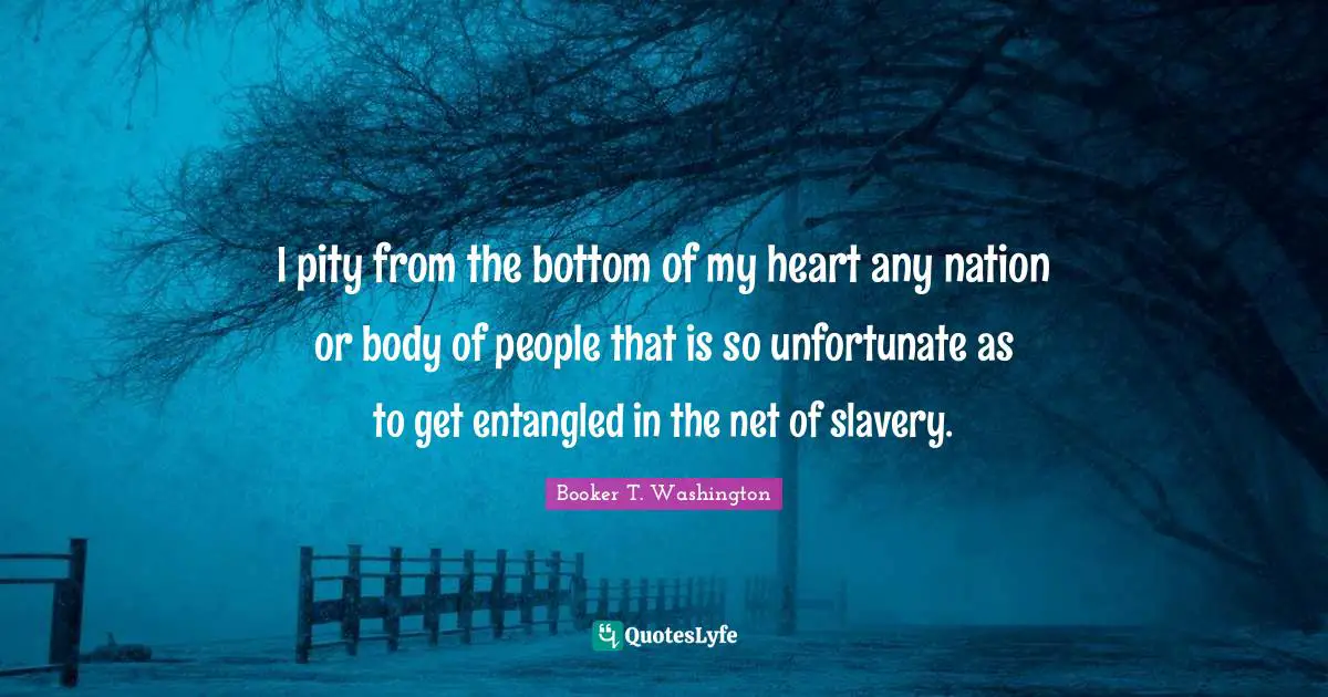 I pity from the bottom of my heart any nation or body of people that is so unfortunate as to get entangled in the net of slavery.