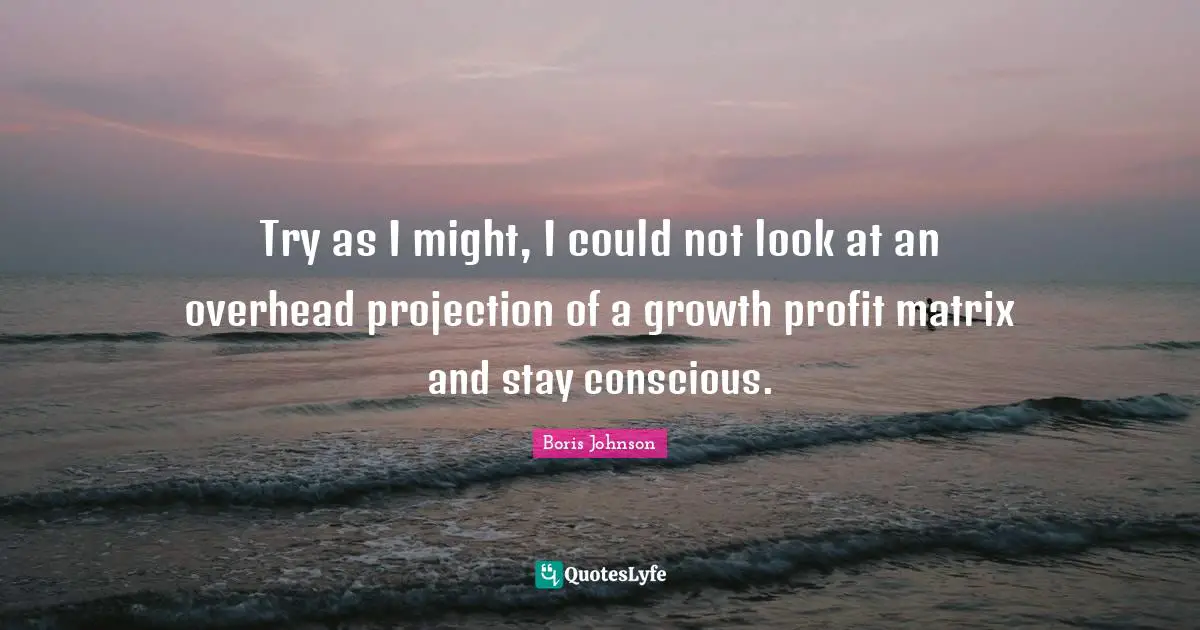 Try as I might, I could not look at an overhead projection of a growth profit matrix and stay conscious.
