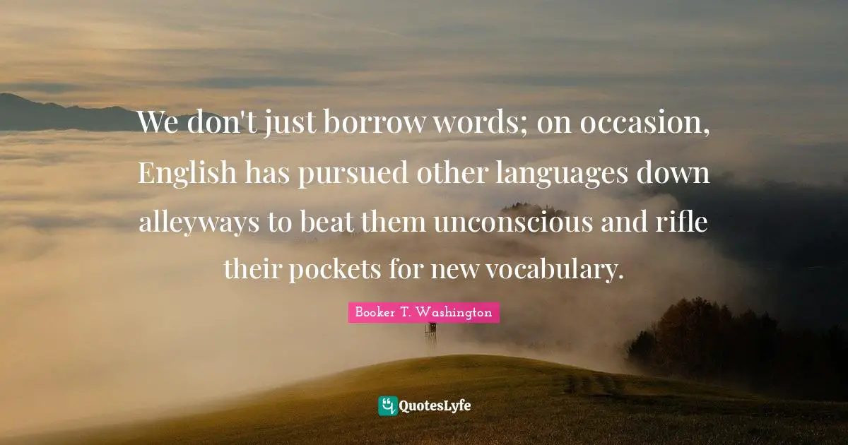 Vocabulary Quotes: "We don't just borrow words; on occasion, English has pursued other languages down alleyways to beat them unconscious and rifle their pockets for new vocabulary."