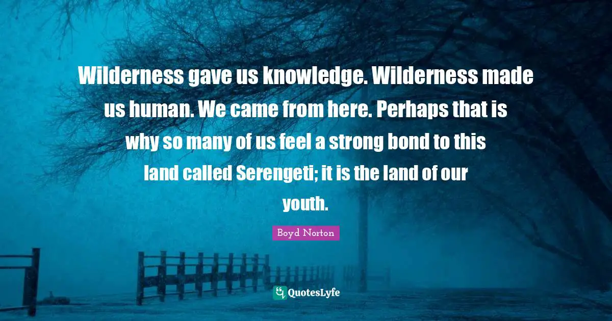 Wilderness gave us knowledge. Wilderness made us human. We came from here. Perhaps that is why so many of us feel a strong bond to this land called Serengeti; it is the land of our youth.