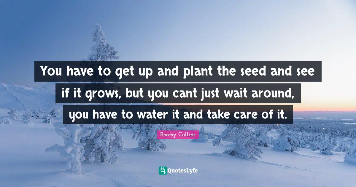 You have to get up and plant the seed and see if it grows, but you cant just wait around, you have to water it and take care of it.