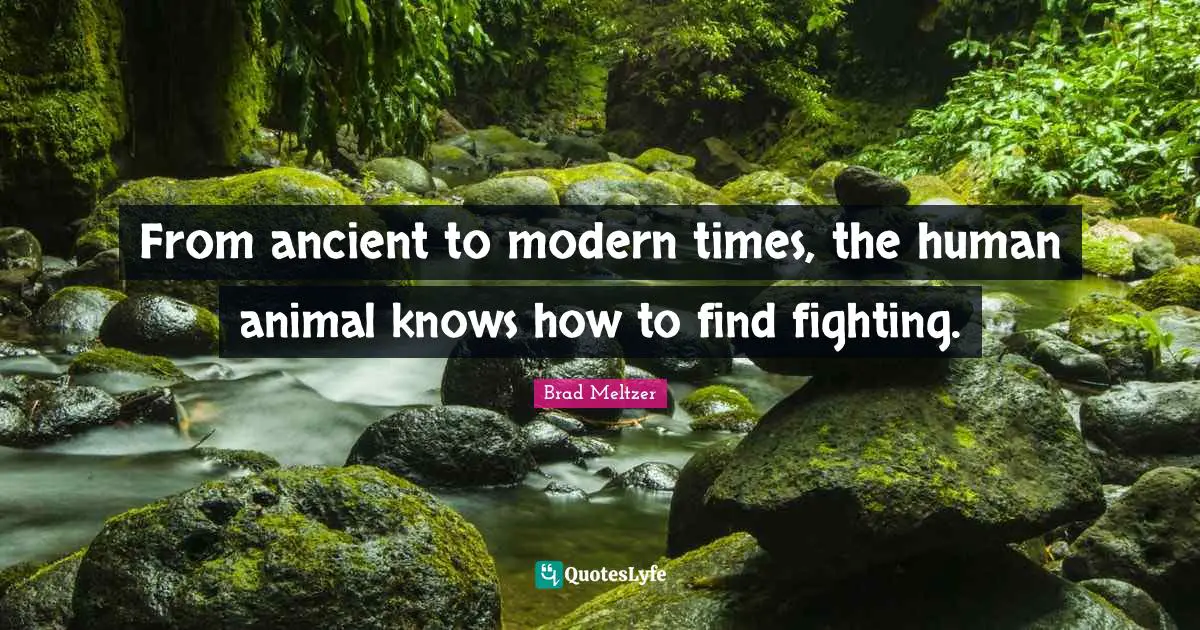 From ancient to modern times, the human animal knows how to find fighting.