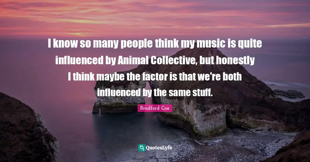 I know so many people think my music is quite influenced by Animal Collective, but honestly I think maybe the factor is that we're both influenced by the same stuff.