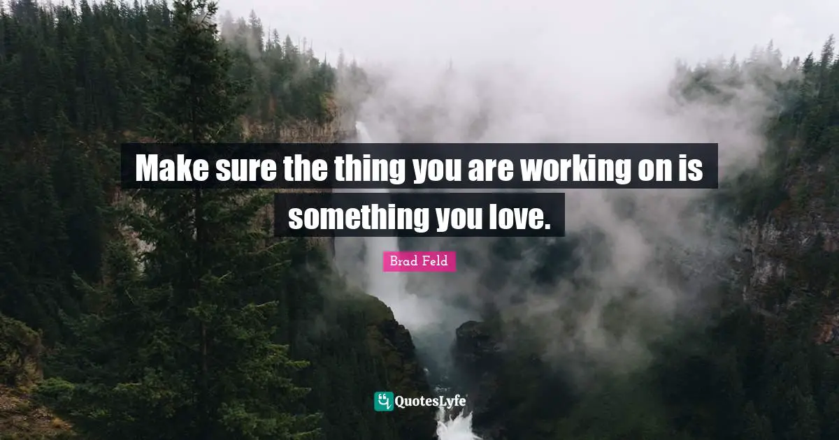 Brad Feld Quotes: "Make sure the thing you are working on is something you love."