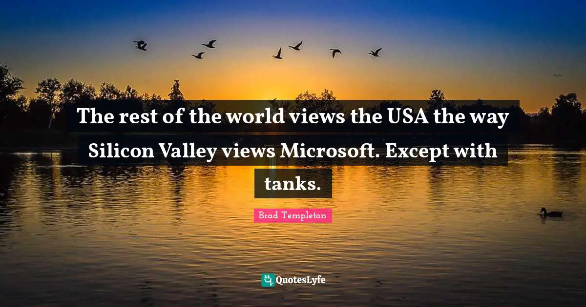 The rest of the world views the USA the way Silicon Valley views Microsoft. Except with tanks.