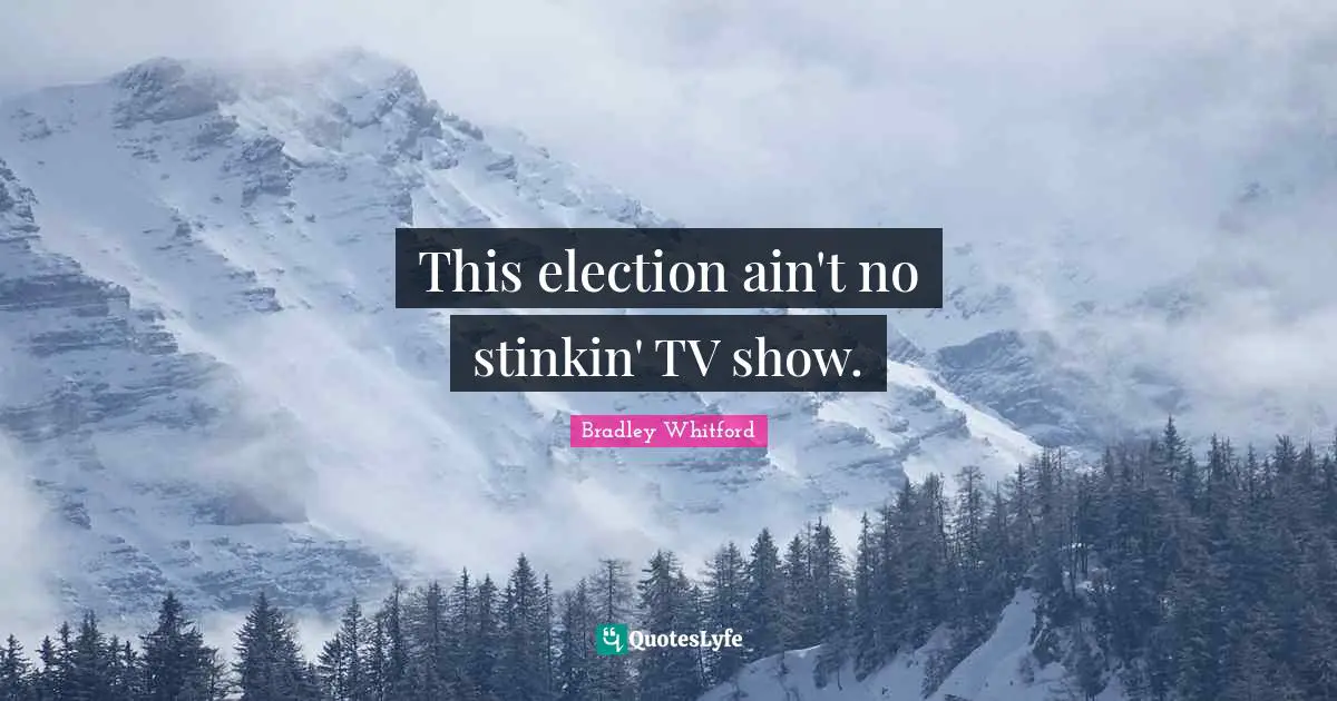 Bradley Whitford Quotes: "This election ain't no stinkin' TV show."