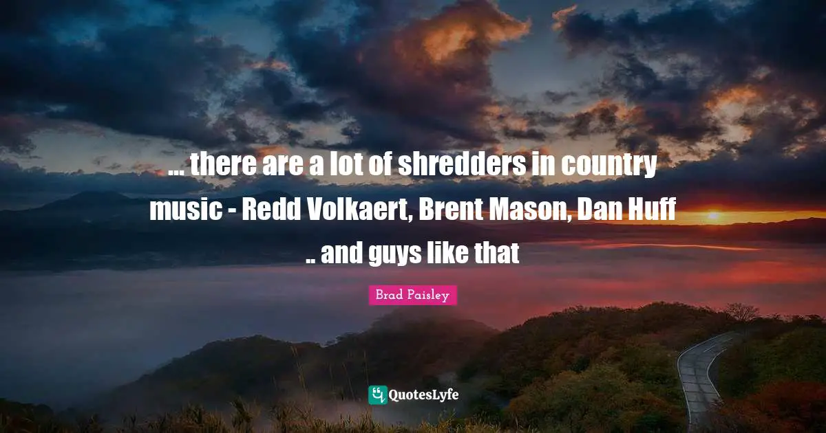 ... there are a lot of shredders in country music - Redd Volkaert, Brent Mason, Dan Huff .. and guys like that