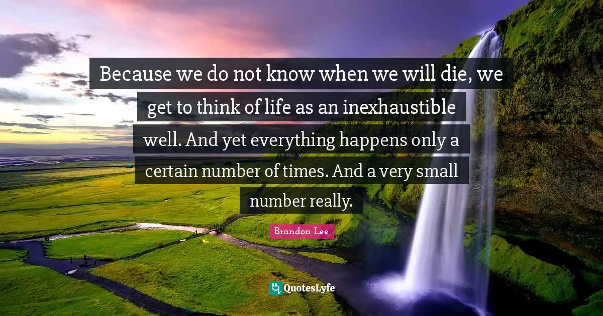 Because we do not know when we will die, we get to think of life as an inexhaustible well. And yet everything happens only a certain number of times. And a very small number really.