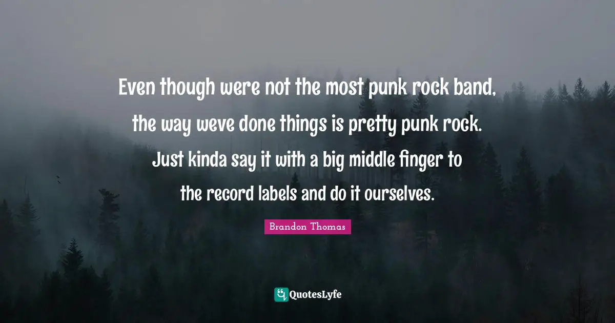 Even though were not the most punk rock band, the way weve done things is pretty punk rock. Just kinda say it with a big middle finger to the record labels and do it ourselves.