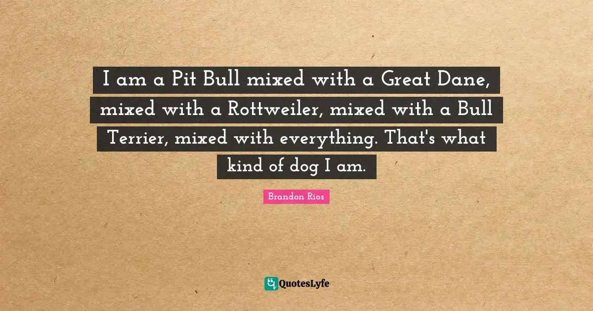 I am a Pit Bull mixed with a Great Dane, mixed with a Rottweiler, mixed with a Bull Terrier, mixed with everything. That's what kind of dog I am.