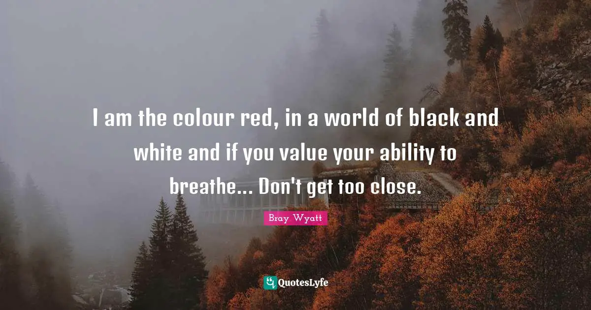 Bray Wyatt Quotes: I am the colour red, in a world of black and white and if you value your ability to breathe... Don't get too close.