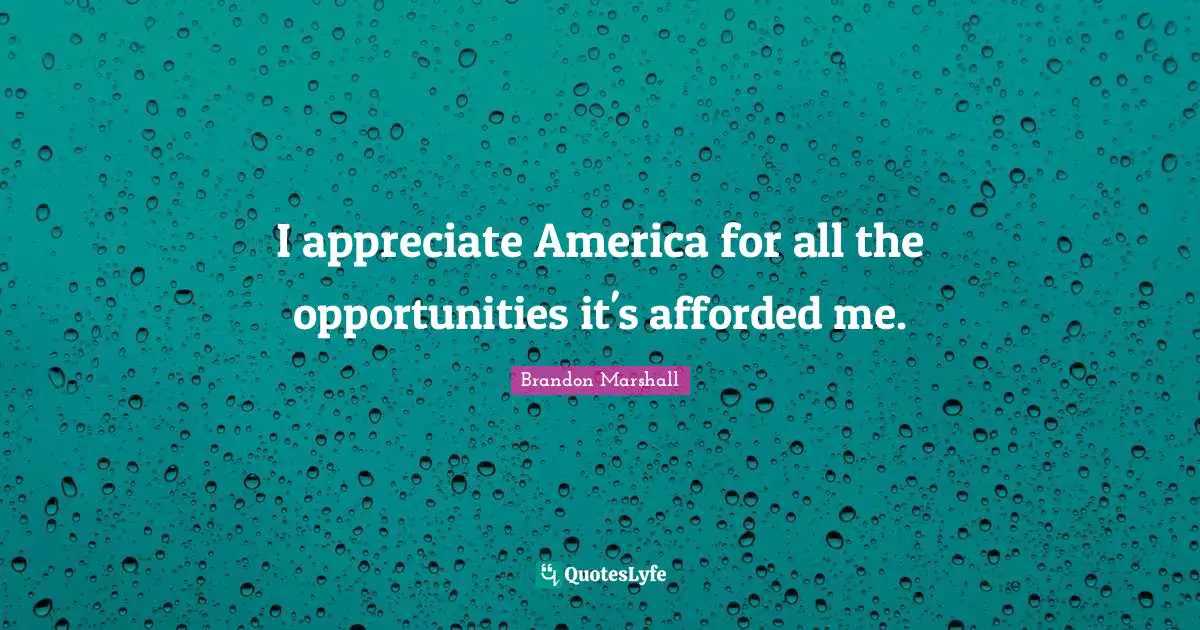 I appreciate America for all the opportunities it's afforded me.