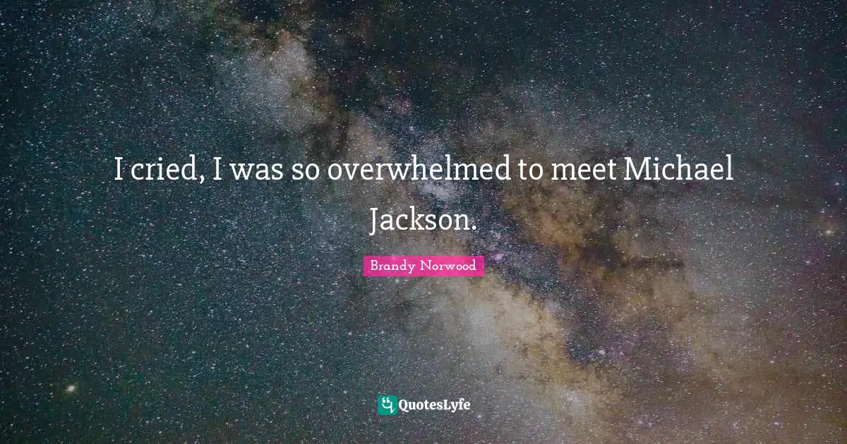 I cried, I was so overwhelmed to meet Michael Jackson.
