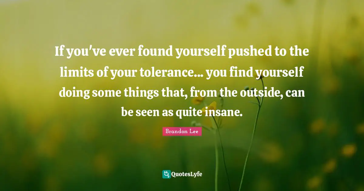 Finding Yourself Quotes: "If you've ever found yourself pushed to the limits of your tolerance... you find yourself doing some things that, from the outside, can be seen as quite insane."