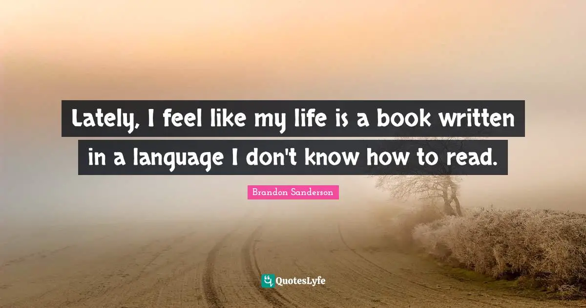 Lately, I feel like my life is a book written in a language I don't know how to read.
