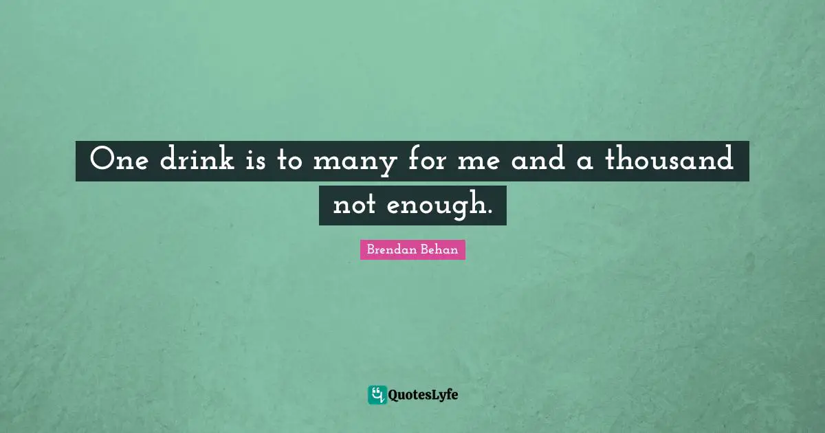 Irish Quotes: "One drink is to many for me and a thousand not enough."