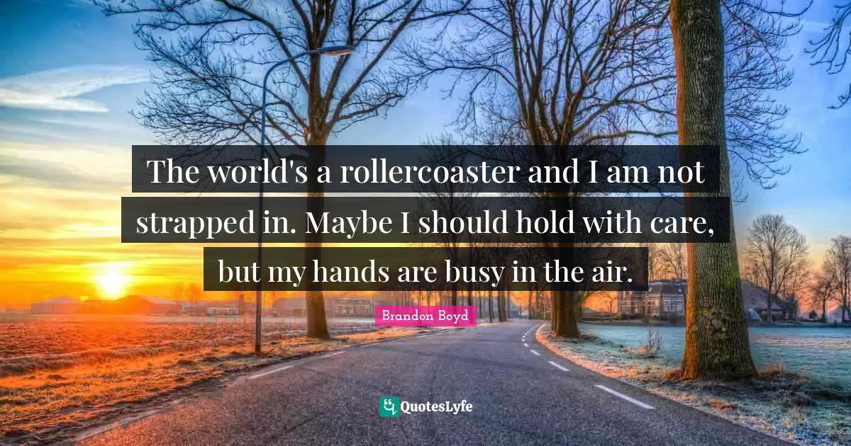 The world's a rollercoaster and I am not strapped in. Maybe I should hold with care, but my hands are busy in the air.