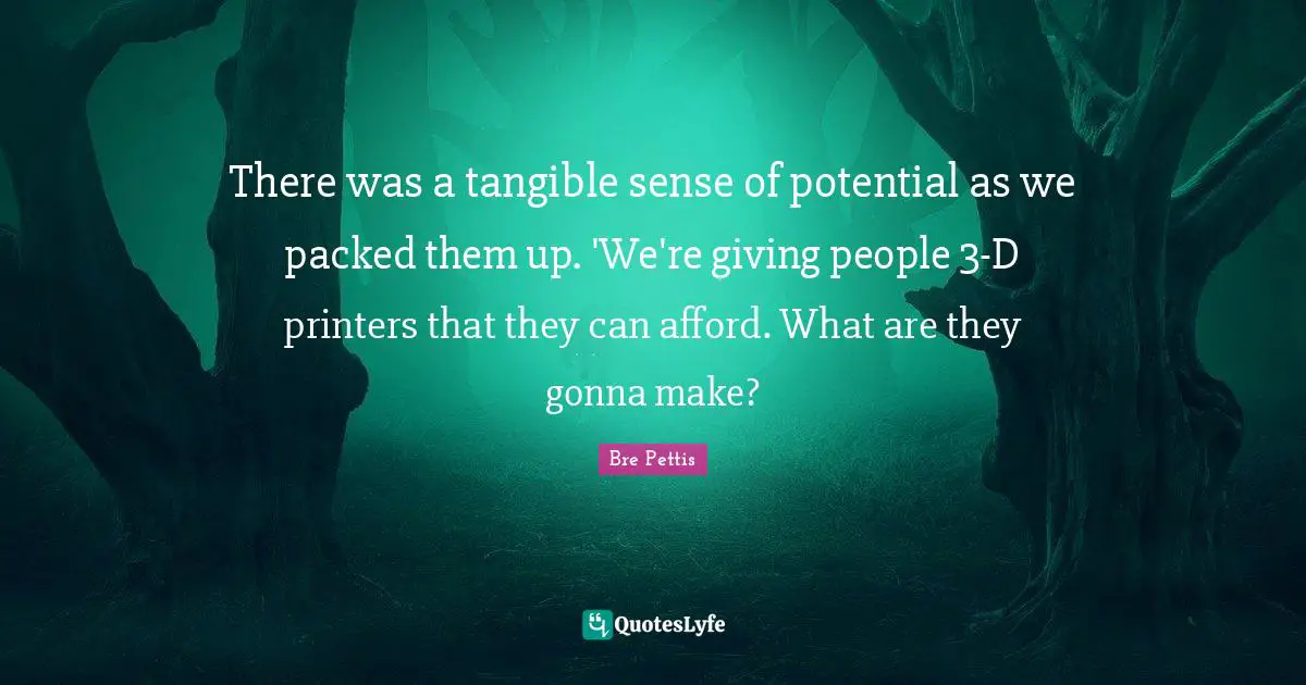 There was a tangible sense of potential as we packed them up. 'We're giving people 3-D printers that they can afford. What are they gonna make?
